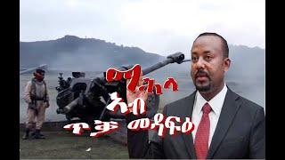 ማሕላ ኣብ ጥቓ መዳፍዕ! #Alenamediatv #Eritrea #Ethiopia #Tigrai