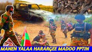 ODDUU AMEE Amaa Nu Dhaqabdee Waranii Bilisumaa Oromo 4/2/2022