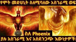 የፊኒክስ አስገራሚ እውነታዎች |ፊኒክስ ምንድነው | ፊኒክስ እውነት የሞት መድሀኒት ነው|what is Phoenix | amazing Facts Of Phoenix |