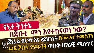 ጀነራል ብርሃኑ ጁላ፣ የደህንነት ሹሙ አቶ ተመስገን ጥሩነህ እና ሌሎች ከፍተኛ ባለስልጣናት ወደ ጅቡቲ የሄዱበት ጥብቅ ሃገራዊ ምስጢር