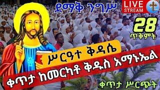 ????live #28 ቅዳሴ❗️❗️ቀጥታ መሳለሚያ ቅዱስ አማኑኤል ❗️❗️ደማቅ በዓለ ንግሥ ጥቅምት 28 EOTC Nigis from merkato Nov 8