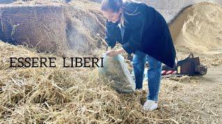 La Ricotta e primo sale fatto  in Casa, Orto rialzato | La vita in Campagna | DONNA DI CASA CON AMOR