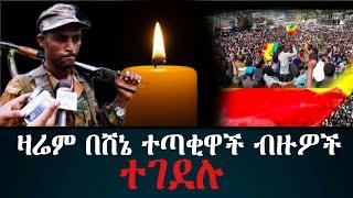 ዛሬም በተመሳሳይ ንፁሀን ተገደሉ |Ethiopian daily news