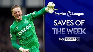 The BEST Premier League Saves of the Week!????  | Pickford, Dubravka & more | Matchweek 35