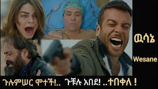 Wesane Episode ጉሉምሠር ሞተች! ጉቹሉ አበደ |  |Kana Television| | Ethiopia |