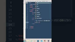 membuat web| membuat tabel| table in html #shorts #programming #coding #html