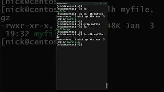 How to Compress a Large File in Linux? | Linux Gzip command in 1 min