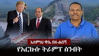 Alemneh Wase BeZehabesha - (አለምነህ ዋሴ በዘ-ሐበሻ) - የእርኩሱ ትራምፕ ስንብት