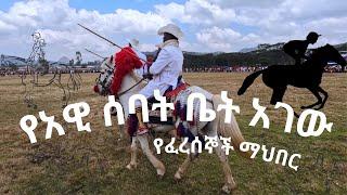 የአዊ ሰባት ቤት አገው የፈረሰኞች ማህበር 82ኛው ክብረ በዓል | Injibara | Medium Version Cinematic Video| 4K | #New Movie