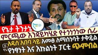 ምርጫው እንዳይካሄድ የተጎነጎነው ሴራ| አዲስ አበባ ላይ አመፅ ለማስነሳት ታቅዷል |የነፃነት እና እኩልነት ፓርቲ ጭምብል|አቶ ታምራት ላይኔ ምን እያሉ ነው?