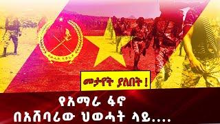 #Ethiopia: የአማራ ፋ*ኖ በአሸባ*ሪው ህወሓት ላይ.... | Amhara | Fano | Milisha | TPLF | August-02-2021