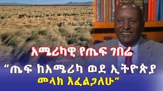 Ethiopia: አሜሪካዊ የጤፍ ገበሬ | "ጤፍ ከአሜሪካ ወደ ኢትዮጵያ መላክ እፈልጋለሁ" - Addis Daily