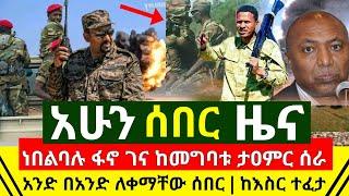 ሰበር - ፋኖ ገና ከመግባቱ አተረማመሳቸው እንደ ቅጠል አራገፋቸው ተዐምር ሰራ መከላከያ ሰራዊት በቦታ ተገኘ | በረከት ስምዖን ተፈታ | Abel Birhanu