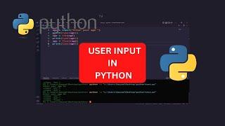 python for beginners || User input in Python