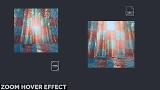 Image Zoom On Hover Effect Animation Using By HTML5 And CSS3 | CodeExpress