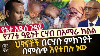 በአማራ ክልል የተከሰተው የ77 ዓይነቱ አስደንጋጭ ርሃብ | ህፃናቶች በርሃቡ ምክንያት በምስጥ እየተበሉ ነው