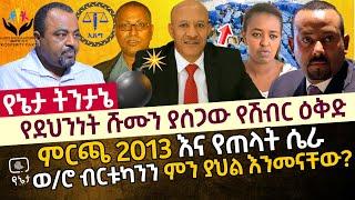 የደህንነት ሹሙን ያሰጋው የሽብር ዕቅድ | ምርጫ 2013 እና የጠላት ሴራ | ወ/ሮ ብርቱካንን ምን ያህል እንመናቸው?