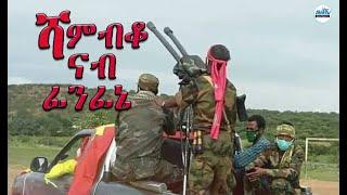 #Alenamediatv #Eritrea #Ethiopia #Tigrai