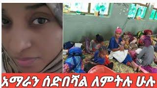 @hayat tube@Ethio ሜክሲኮ @fafi magna ፋፊ ማኛ tube   ይድረስ#በአማራ ሞት ተደስተሻል" ላለችሁኝ በሙሉ