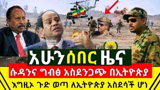 ሰበር መረጃ - እግዚኦ የሱዳንና ግብፅ አስደንጋጩ ሴራ በኢትዮጵያ ጉዱ ወጣ ተረጋገጠ | በሟቾቹ ጉዳይ አሁን ተጀመረ መንግስት አስታወቀ |Abel Birhanu