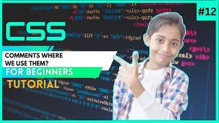 CSS Tutorial For Beginners 12 - CSS Comments Where We Use Them ?