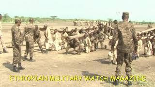 መከላከያ ሬዲዮ ዜና | Ethiopian Military / Defense Force Radio News |ህዳሴ ግድብ |ሕዳሴ| New Ethiopian Music 2020