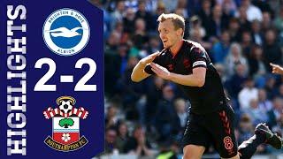 Brighton vs Southampton 2-2 Highlights | Premier League 2022