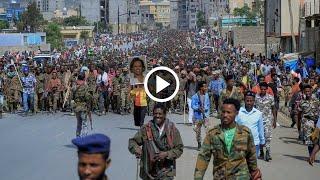 ሰበር አስደንጋጭ ዶ/ር ኢሌኒ Ethiopian News Ethiopia Today December 2, 2021 Zehabesh