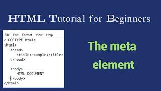 HTML Tutorial for Beginners - 20 - The meta element | TechZon