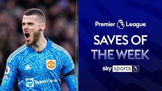 The BEST Premier League Saves from Matchweek 22! ✨