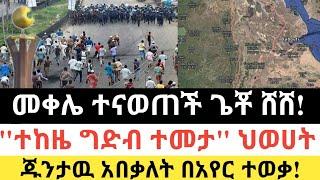 Ethiopia - ሰበር | መቀሌ ተናወጠች ጌቾ ፈረጠጠ | "ተከዜ ግድብ ተመታ" ህወሀት| ፈታ ደይሊ | Zena Tube | Zehabesha | Feta daily