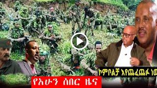 የአሁን ሰበር ዜና  ethiopian news | tigray | esat | seifu on ebs | zehabesha|abel birhanu November 2, 2021