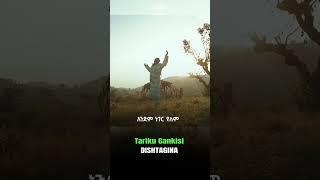 Tariku Gankisi - Dishta Gina - ታሪኩ ጋንካሲ - ዲሽታግና - New Ethiopian Music 2023