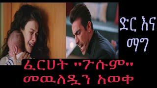 Dir Ena Mag episode 29 - ፈርሀት ጉሱም መዉለዷን አወቀ |ድር እና ማግ ክፍል 29| Shimya episode 113|ሽሚያ ድራማ ክፍል 113|