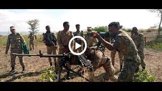 አፋር ውስጥ የተገደሉት | የኢትዮጵያ መንግሥት አስቸኳይ መግለጫ | Ethiopian news | Tigray | zehabesha | Addis Ababa