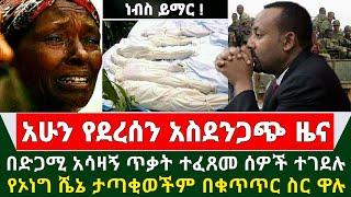 Ethiopia አሳዛኝ ሰበር ዜና - በድጋሚ ጥቃት ተፈጸመ ሰዎች ተገደሉ የኦነግ ሼኔ ታጣቆወችም በቁጥጥር ስር ዋሉ