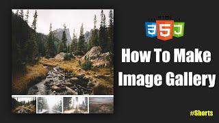 How To Make Image Gallery Using Custom Javascript Code || Javascript || javascript Tutorial || Js