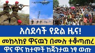 Ethiopia - ሰበር | አስደሳች የድል ዜና! | መከላከያ ዋናዉን በሙሉ ተቆጣጠረ | Zehabesha | Feta daily | Abel birhanu