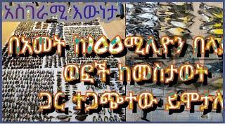 በአመት ከ100 ሚሊዮን በላይ ወፎች ይሞታሉ ለምን?|4| Why do more than 100 million birds die each year?