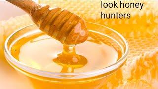 honeybee hunters look honey