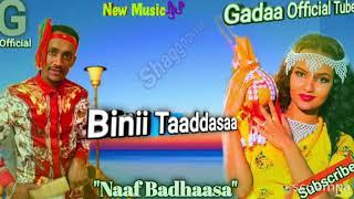 Ethiopian Oromo new music naaf Badhaassa  Binii Taaddassaa  Oromo music -2021