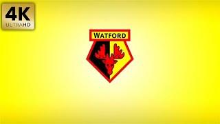 Watford EPL  Animated Logo Team Intro - 4K Background