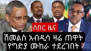 DW News Amharic Ethiopia | አስደንጋጭ ሰበር መረጃ | Zehabesha | Abel Birhanu | Yegara Tube