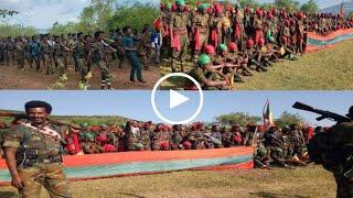 አሁን የደረሰን ሰበር ዜና: Ethiopian News |Feta daily| Dere News| Zehabesha| Abel birhanu| Esat