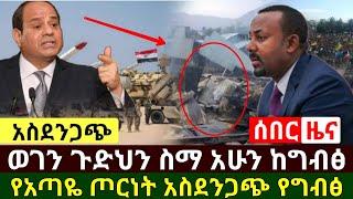 Ethiopia:ሰበር መረጃ | አስደንጋጭ ወገን ጉድህን ስማ የአጣዬ ጦርነት ጉድ ከወደ ግብፅ አሁን ተሰማ እግዚኦ | Abel Birhanu