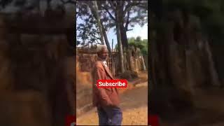 ????neba 4 kilo new tiktok video(ኣንተ ነህ ባለቁላው??)