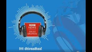 BBC  News Afaan Oromoo 15 February 2021