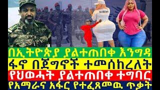 በኢትዮጵያ ያልተጠበቀ እንግዳ | ፋኖ ተመሰከረለት | አስደንጋጩ ዉድመት| Ethiopian News | zehabesha 4 | dere news | Feta Daily