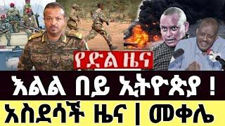 Ethiopia: ሰበር ዜና | Feta Daily | Zena Tube | Zehabesha | Ethiopia Military | Ebc | Naod Tube