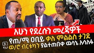 የጠ/ሚ ዐቢይ ቃለ ምልልስ ታገደ | ወ/ሮ ብርቱካን ያልተጠበቀ ዉሳኔ አሳለፉ